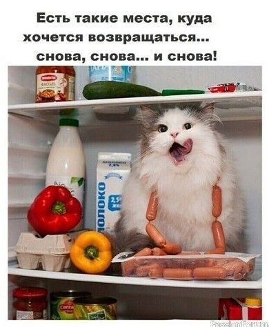 Есть такие места, куда хочется возвращаться... снова, снова... и снова!