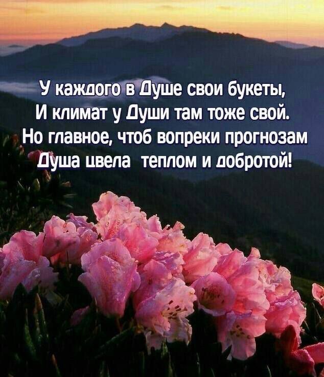 У каждого в Душе свои букеты,
И климат у Души там тоже свой.
Но главное, чтоб вопреки прогнозам
Душа цвела теплом и добротой!