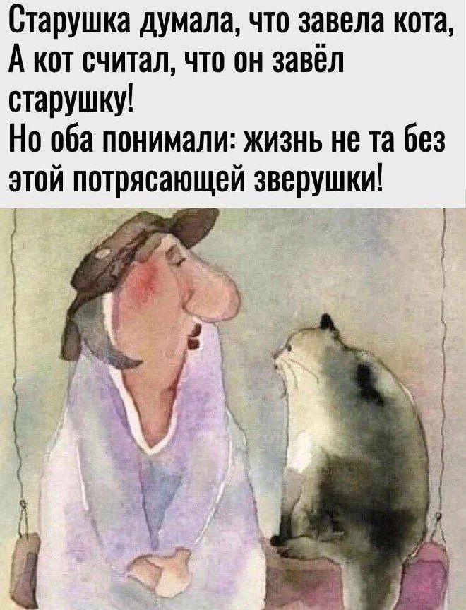 Старушка думала, что завела кота, А кот считал, что он завёл старушку!
Но оба понимали: жизнь не та без этой потрясающей зверушки!