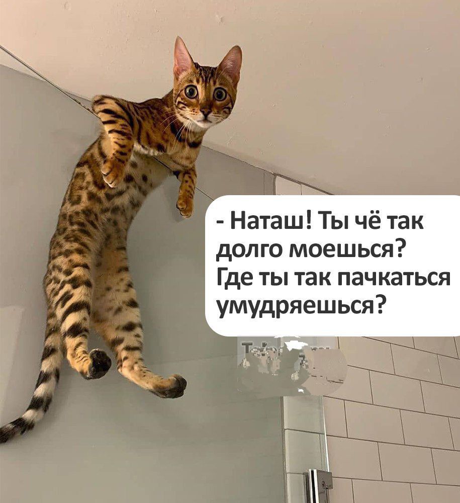 - Наташ! Ты чё так долго моешься? Где ты так пачкаться умудряешься?