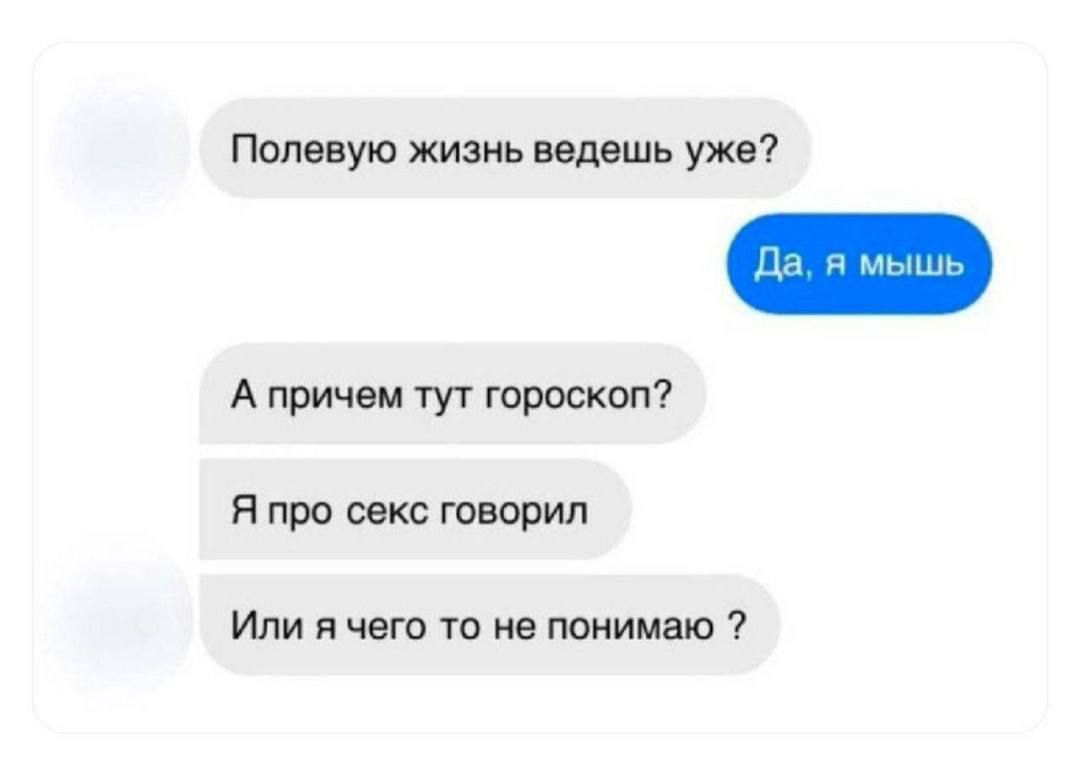 Полевую жизнь ведешь уже?
Да, я мышь
А причем тут гороскоп?
Я про секс говорил
Или я чего-то не понимаю?