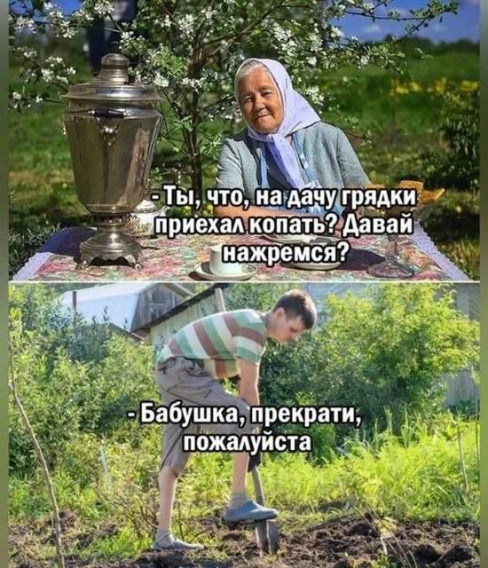 - Ты, что, на дачу грядки приехал копать? Давай нажрёмся?  
- Бабушка, прекрати, пожалуйста