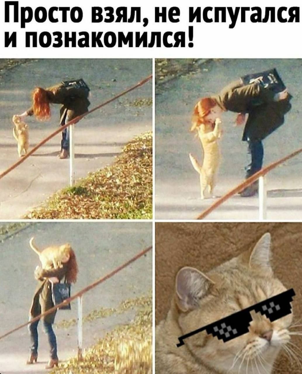 Просто взял, не испугался и познакомился!