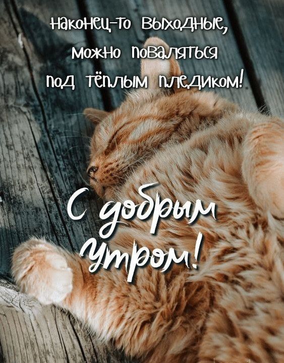 Наконец-то выходные, можно поваляться под тёплым пледиком! С добрым утром!