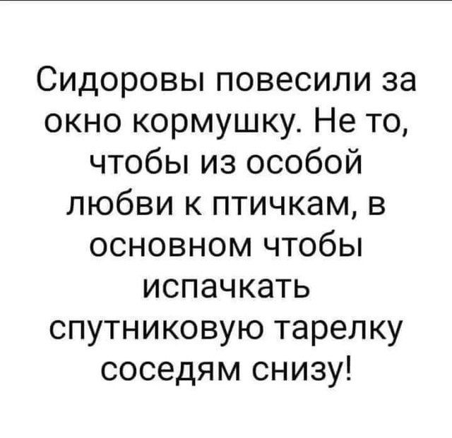 Сидоровы повесили за окно кормушку. Не то, чтобы из особой любви к птичкам, в основном чтобы испачкать спутниковую тарелку соседям снизу!