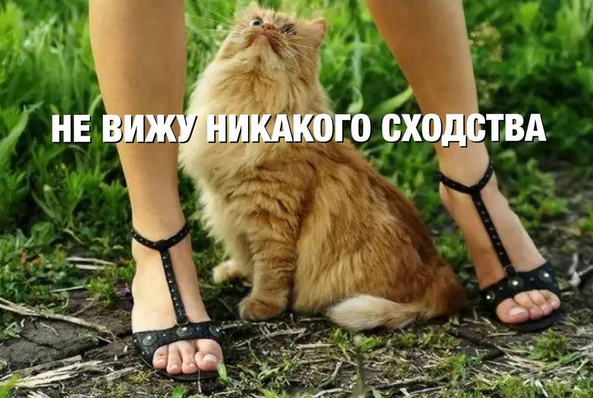 НЕ ВИЖУ НИКАКОГО СХОДСТВА
