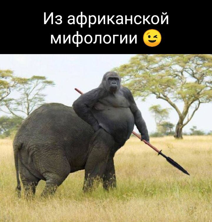 Из африканской мифологии 😉