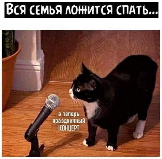 Вся семья ложится спать...
а теперь праздничный КОНЦЕРТ