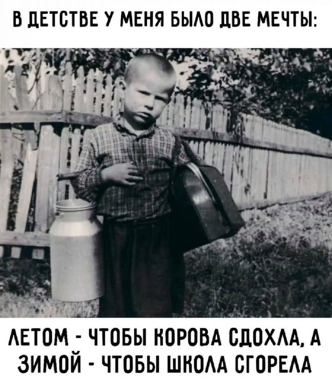 В детстве у меня было две мечты:
Летом - чтобы корова сдохла, а зимой - чтобы школа сгорела.