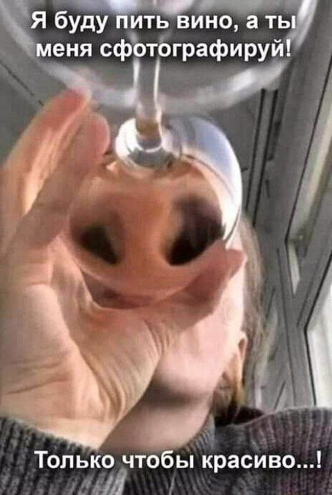 Я буду пить вино, а ты меня сфотографируй! Только чтобы красиво...!
