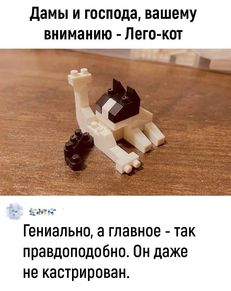 Дамы и господа, вашему вниманию - Лего-кот
Гениально, а главное - так правдоподобно. Он даже не кастрирован.