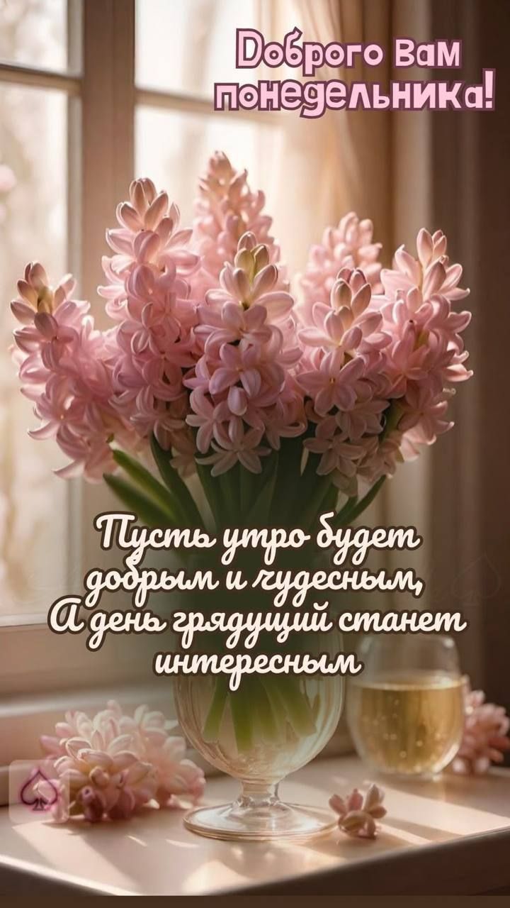 Добро-go вам понедельника! Пусть утро будет добрым и уютным, А день грядущий станет интересным.