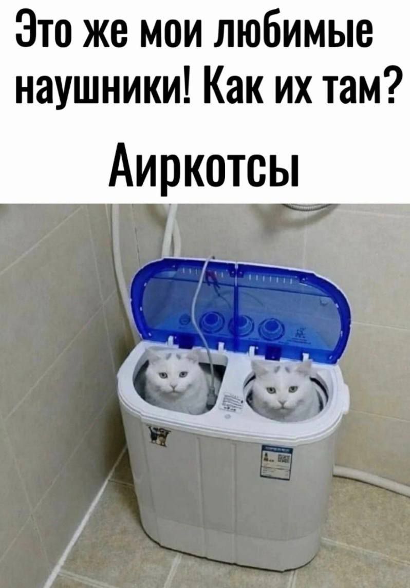 Это же мои любимые наушники! Как их там? Айркотсы
