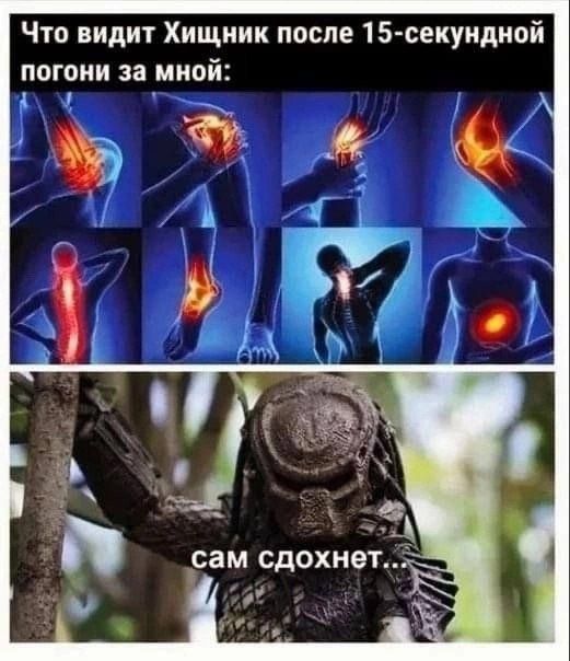 Что видит Хищник после 15-секундной погони за мной:
сам сдохнет..