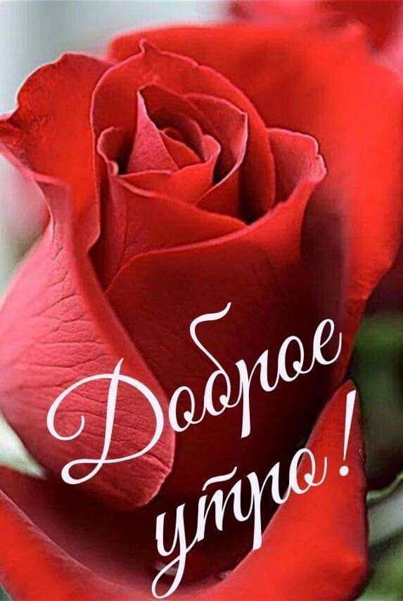 Доброе утро!