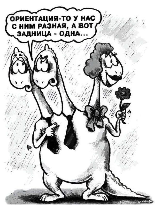 ОРИЕНТАЦИЯ-ТО У НАС С НИМИ РАЗНАЯ, А ВОТ ЗАДНИЦА - ОДНА...
