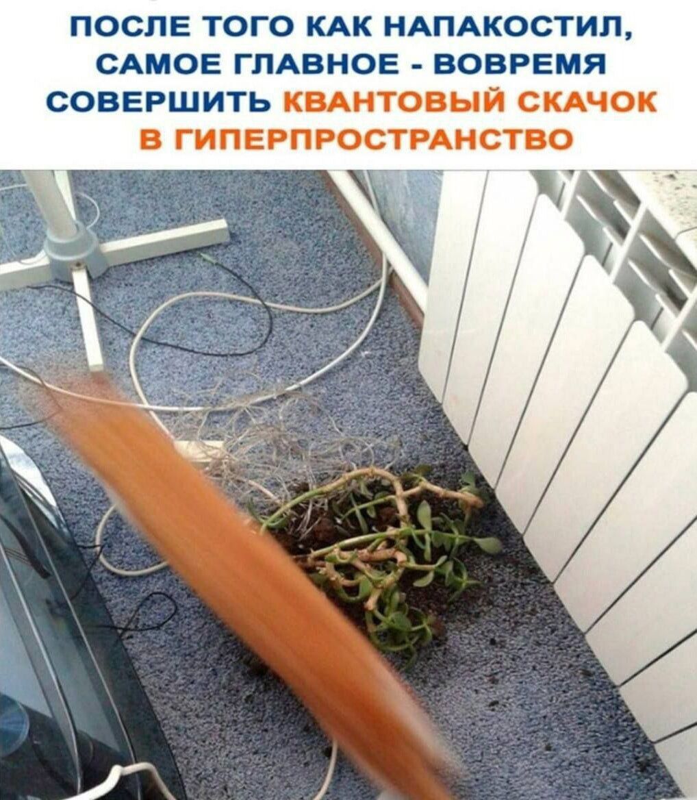 ПОСЛЕ ТОГО КАК НАПАКОСТИЛ, САМОЕ ГЛАВНОЕ - ВОВРЕМЯ СОВЕРШИТЬ КВАНТОВЫЙ СКАЧОК В ГИПЕРПРОСТРАНСТВО