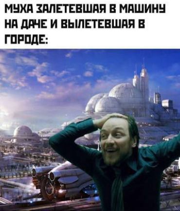 МУХА ЗАЛЕТЕВШАЯ В МАШИНУ НА ДАЧЕ И ВЫЛЕТЕВШАЯ В ГОРОДЕ: