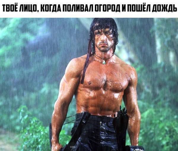 ТВОЁ ЛИЦО, КОГДА ПОЛИВАЛ ОГОРОД И ПОШЁЛ ДОЖДЬ