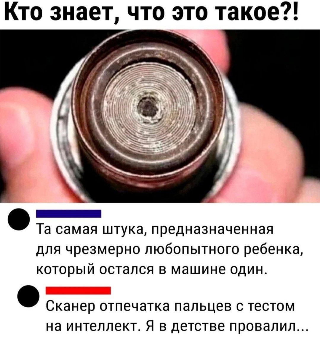 Кто знает, что это такое?!

Та самая штука, предназначенная для чрезмерно любопытного ребенка, который остался в машине один?

Сканер отпечатка пальцев с тестом на интеллект. Я в детстве провалил...