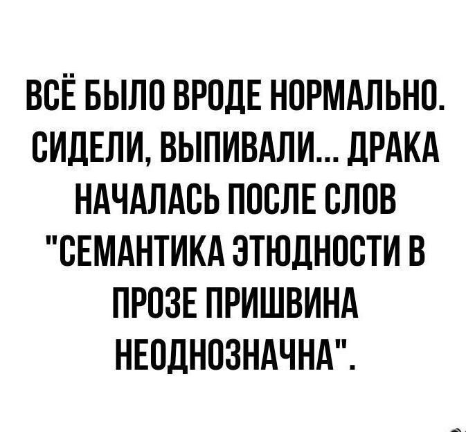 Всё было вроде нормально. Сидели, выпивали... Драка началась после слов 
