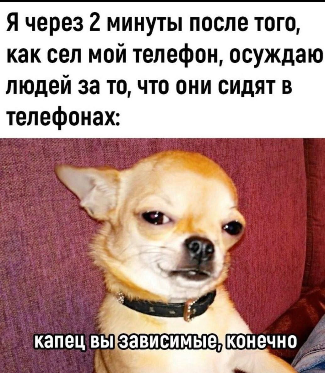 Я через 2 минуты после того, как сел мой телефон, осуждаю людей за то, что они сидят в телефонах:
капец вы зависимые, конечно