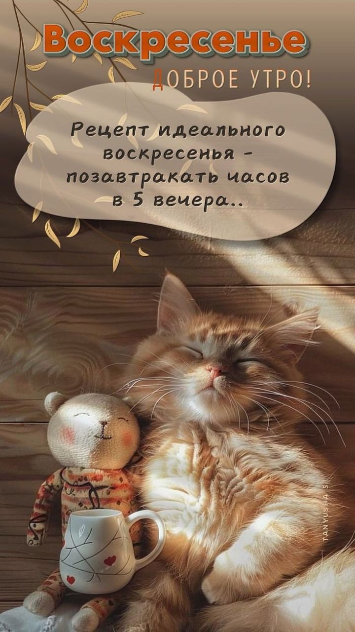 Воскресенье
ДОБРОЕ УТРО!
Рецепт идеального воскресенья – позавтракать часов в 5 вечера..