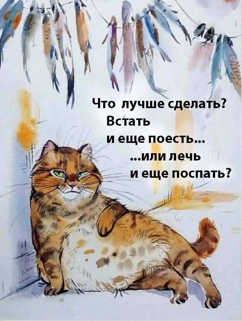 Что лучше сделать? Встать и еще поесть... ...или лечь и еще поспать?