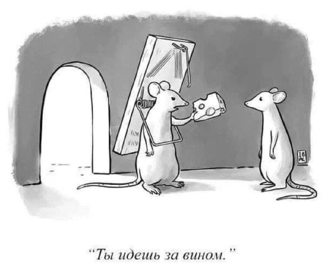 Ты идёшь за вином.