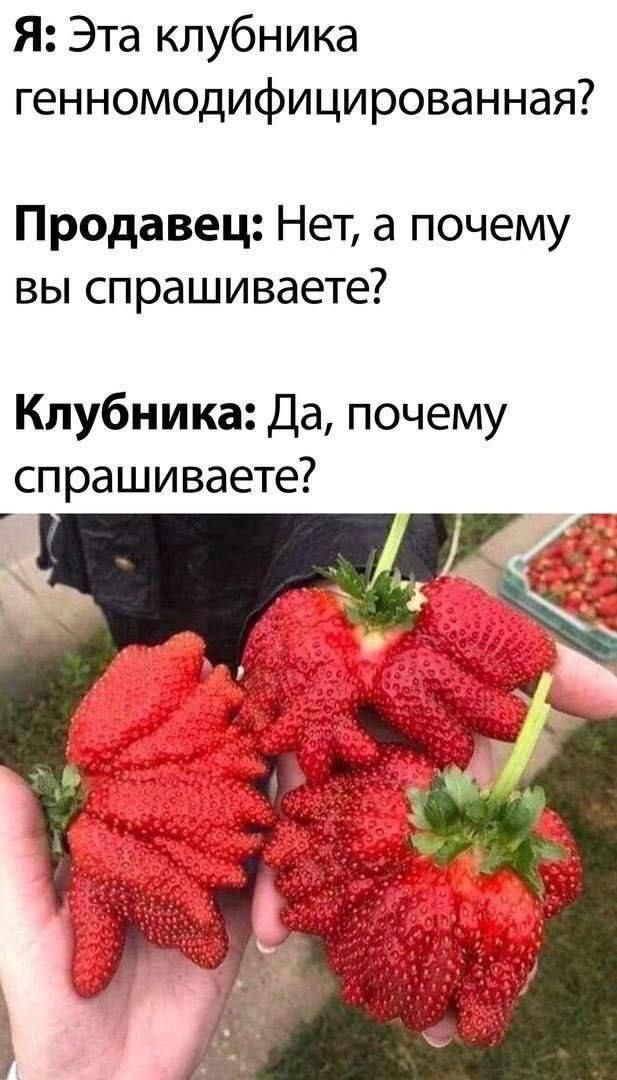 Я: Эта клубника генномодифицированная? Продавец: Нет, а почему вы спрашиваете? Клубника: Да, почему спрашиваете?