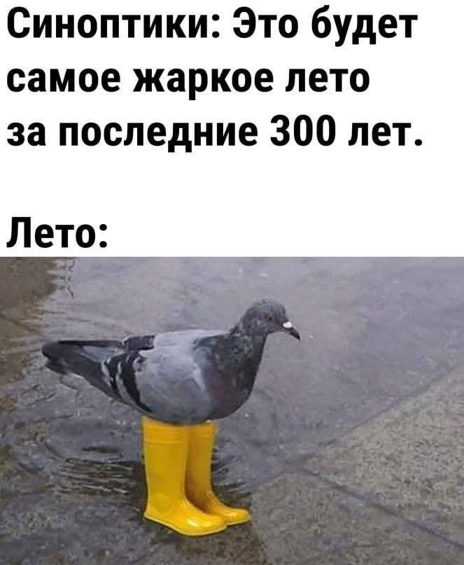 Синоптики: Это будет самое жаркое лето за последние 300 лет.
Лето: