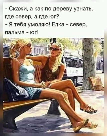 - Скажи, а как по дереву узнать, где север, а где юг?
- Я тебя умоляю! Елка - север, пальма - юг!