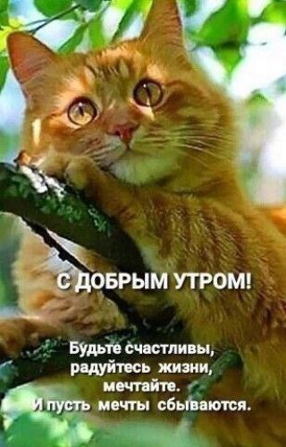 С ДОБРЫМ УТРОМ! Будьте счастливы, радуйтесь жизни, мечтайте. И пусть мечты сбываются.