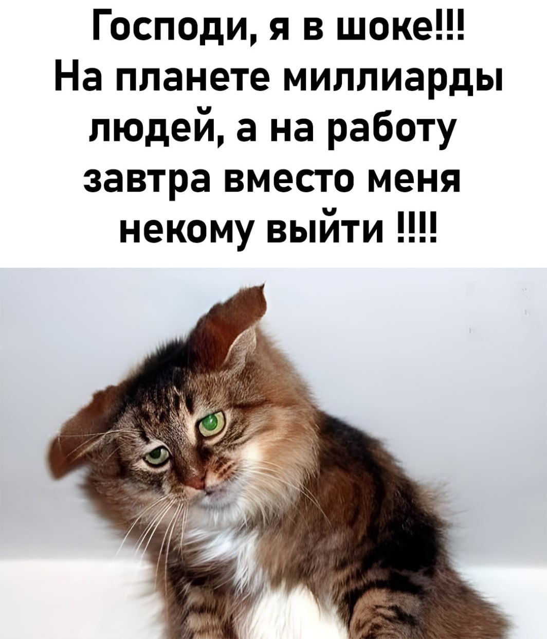 Господи, я в шоке!!! На планете миллиарды людей, а на работу завтра вместо меня некому выйти !!!!