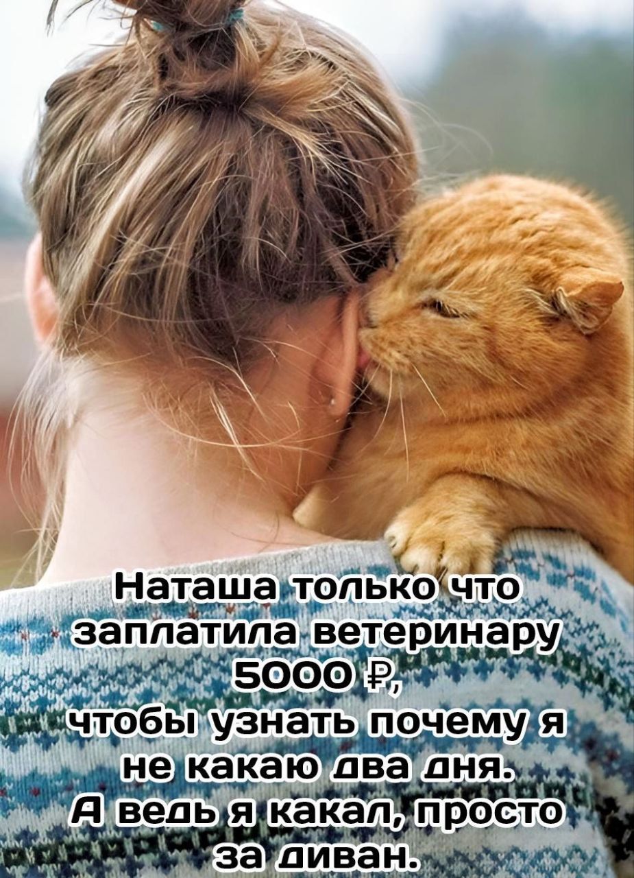 Наташа только что заплатила ветеринару 5000 ₽, чтобы узнать почему я не какаю два дня. А ведь я какал, просто за диван.