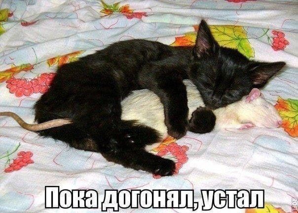 Пока догонял, устал