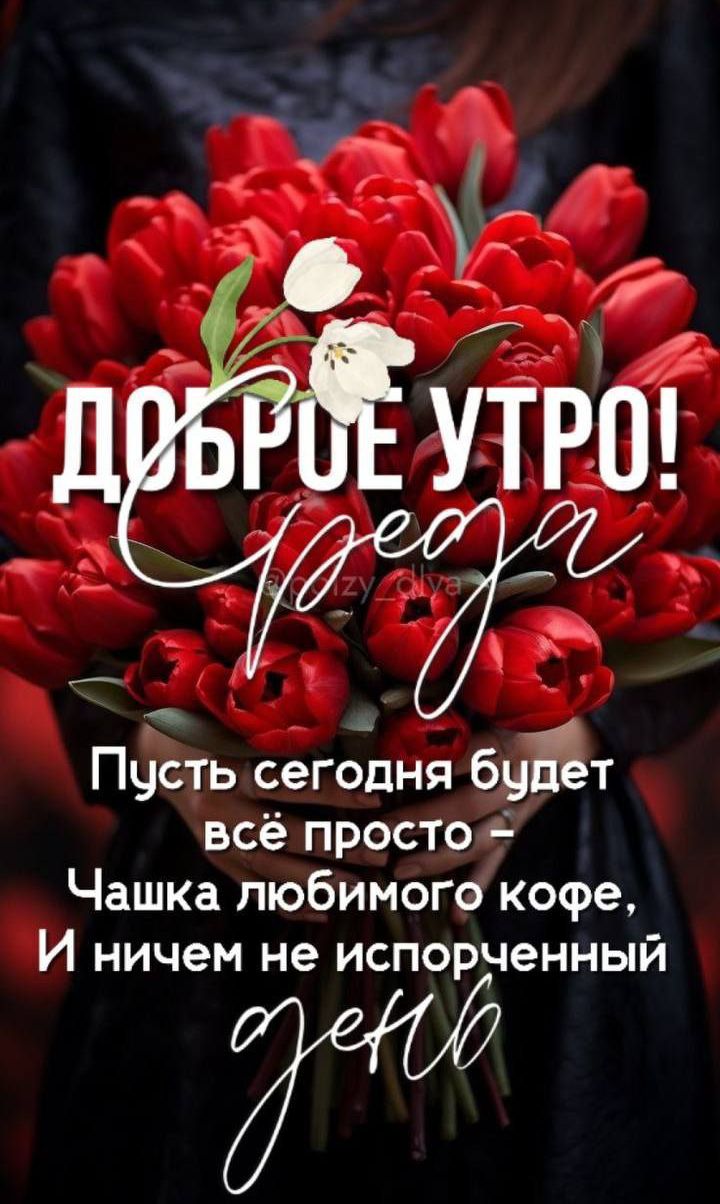 ДОБРОЕ УТРО! Пусть сегодня будет всё просто – Чашка любимого кофе, И ничем не испорченный день