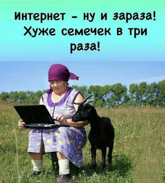 интернет – ну и зараза! Хуже семечек в три раза!