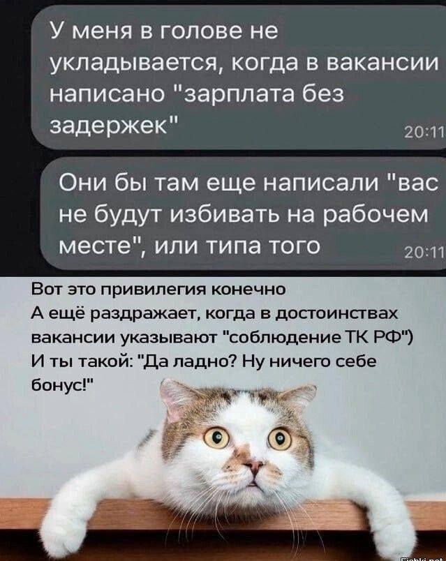 У меня в голове не укладывается, когда в вакансии написано 
