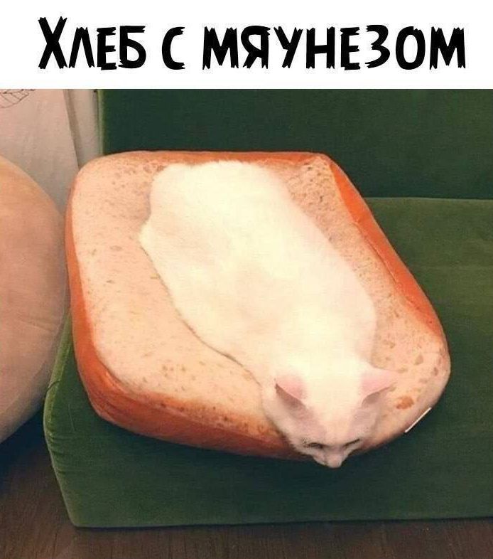 Хлеб с мяунезом