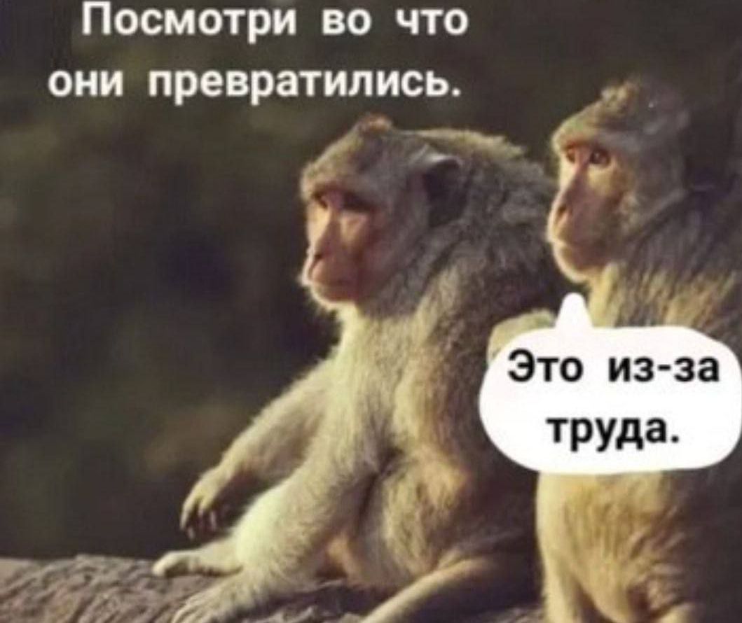 Посмотри во что они превратились. Это из-за труда.