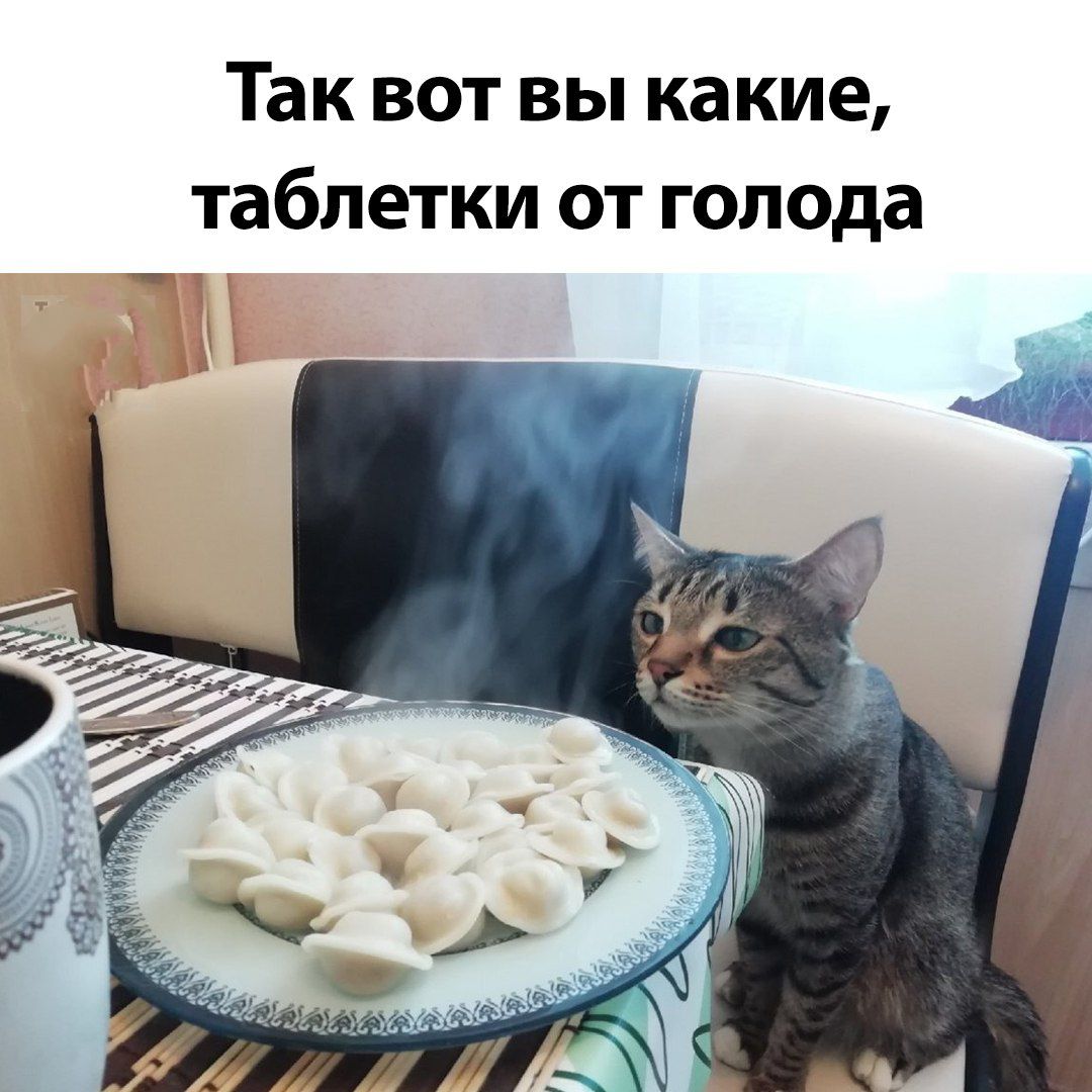 Так вот вы какие, таблеточки от голода