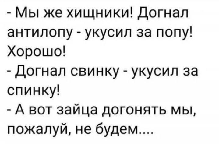 - Мы же хищники! Догнал антилопу - укусил за попу! Хорошо!
- Догнал свинку - укусил за спинку!
- А вот зайца догнать мы, пожалуй, не будем....