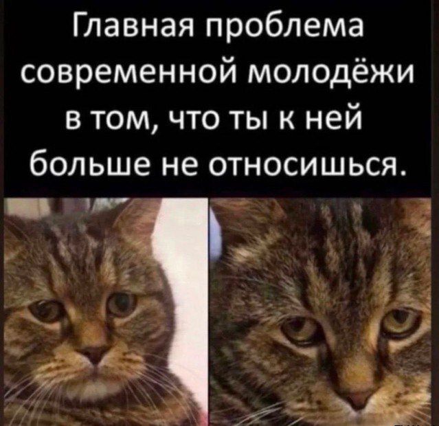 Главная проблема современной молодёжи в том, что ты к ней больше не относишься.