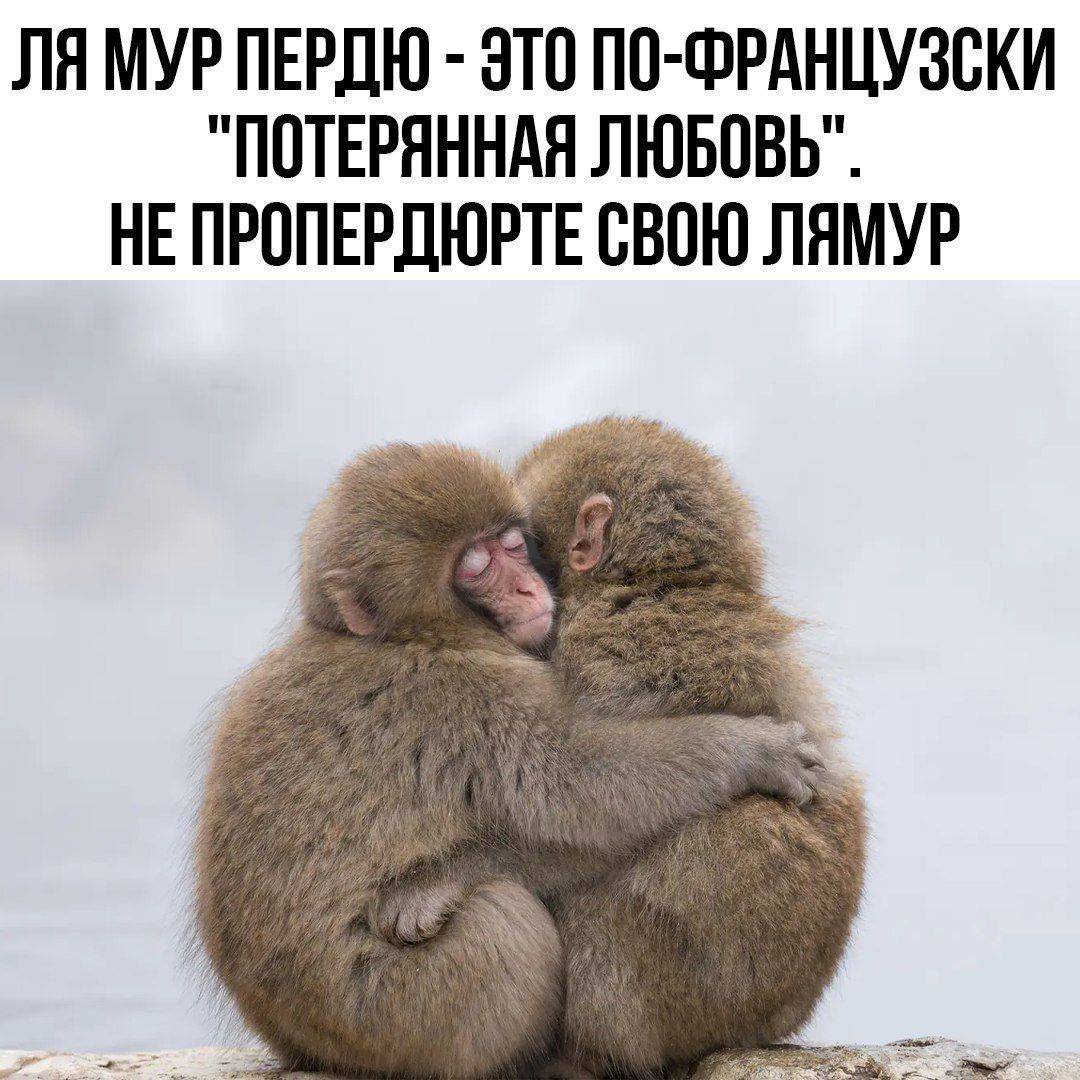 ЛЯ МУР ПЕРДЮ - ЭТО ПО-ФРАНЦУЗСКИ 