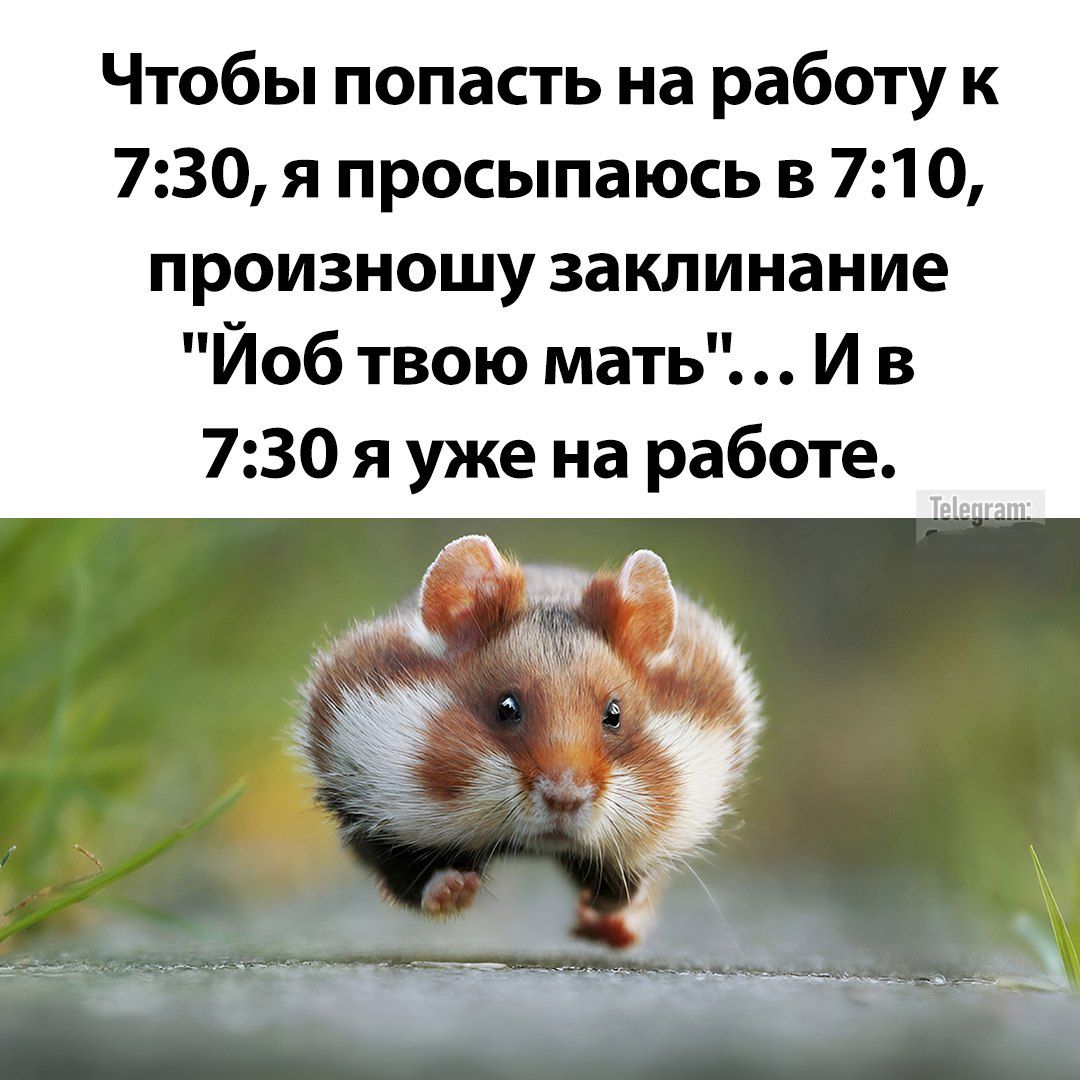 Чтобы попасть на работу к 7:30, я просыпаюсь в 7:10, произнесу заклинание 