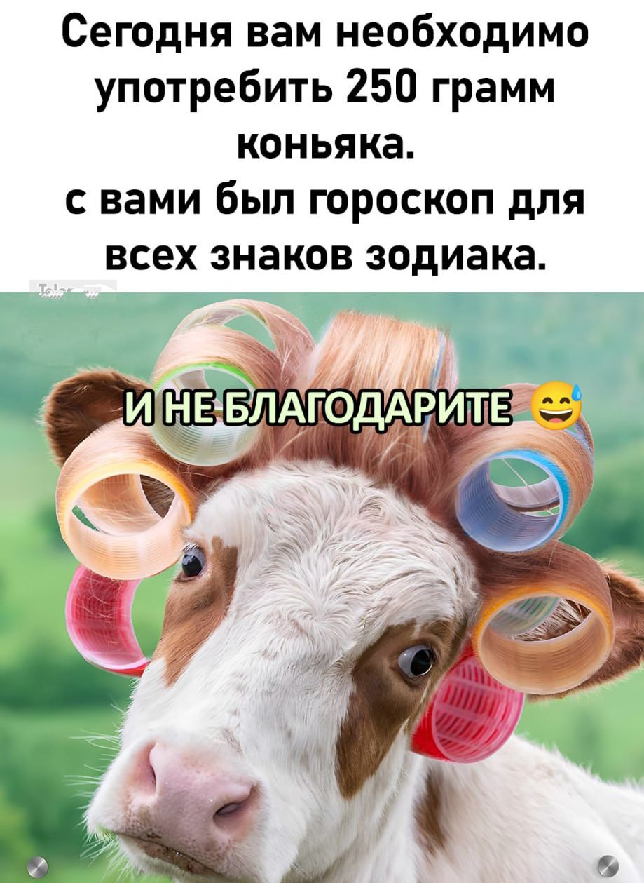 Сегодня вам необходимо употребить 250 грамм коньяка.
с вами был гороскоп для всех знаков зодиака.
И НЕ БЛАГОДАРИТЕ 😀