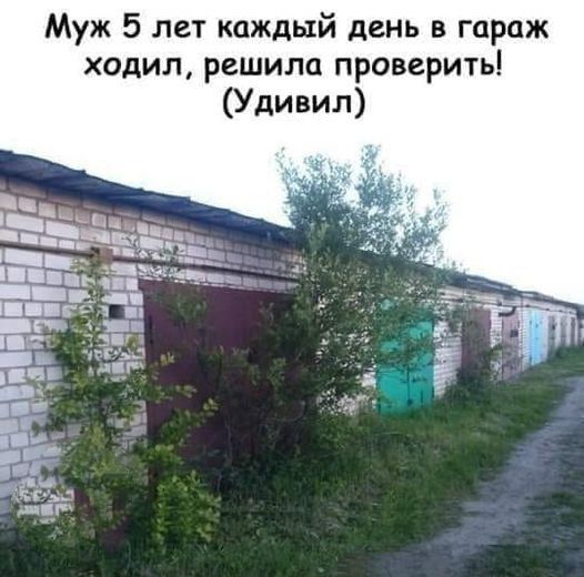 Муж 5 лет каждый день в гараж ходил, решила проверить! (Удивил)