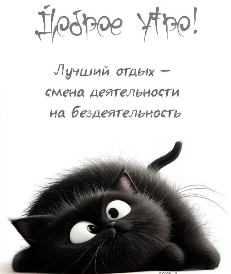 Доброе утро!
Лучший отдых – смена деятельности на бездеятельность