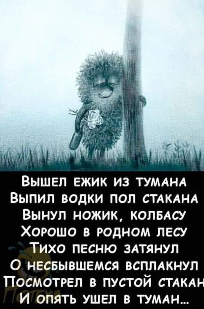 Вышел ежик из тумана
Выпил водки пол стакана
Вынул ножик, колбасу
Хорошо в родном лесу
Тихо песню затянул
О несбывшемся всплакнул
Посмотрел в пустой стакан
И опять ушел в туман...